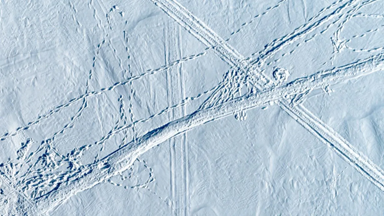 Хайп на грани фола: подмосковные «сатанисты» оставили пугающий след на Черном озере