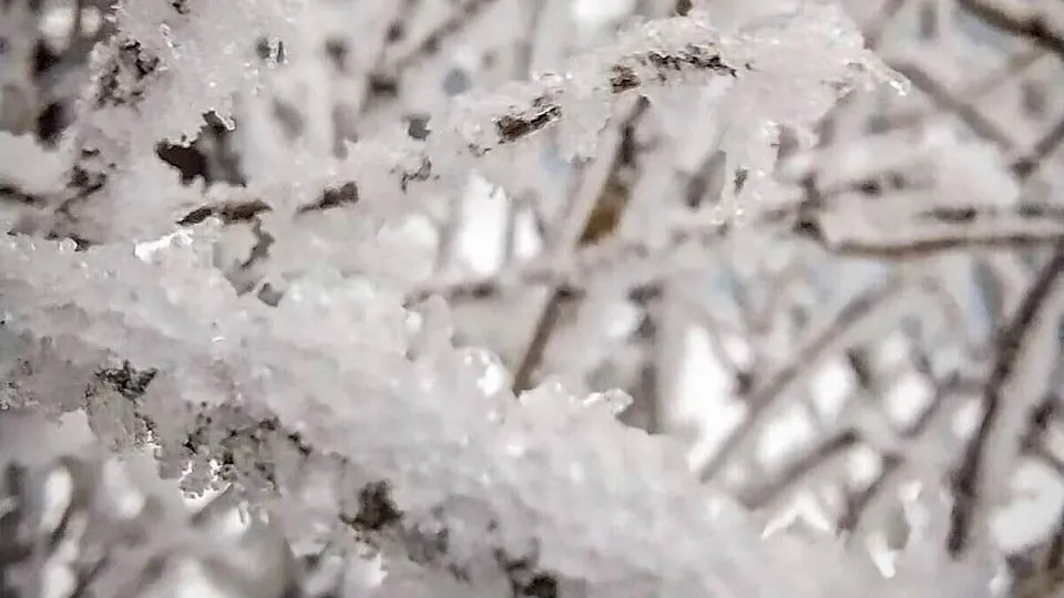 Фото: REGIONS/Роман Малышенко