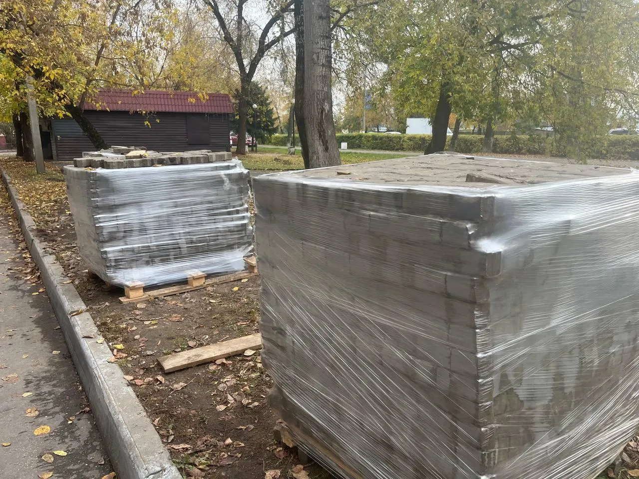 Фото: REGIONS/Кристина Ларина