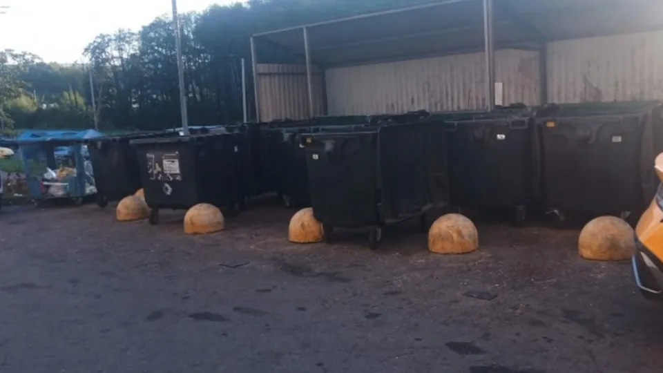 Фото: пресс-служба администрации Ленинского г.о.