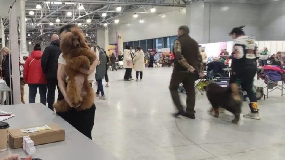 Фото: Министерство сельского хозяйства и продовольствия Московской области