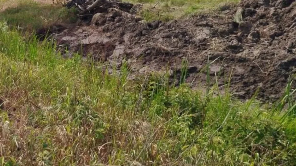 Фото: Министерство экологии и природопользования Московской области