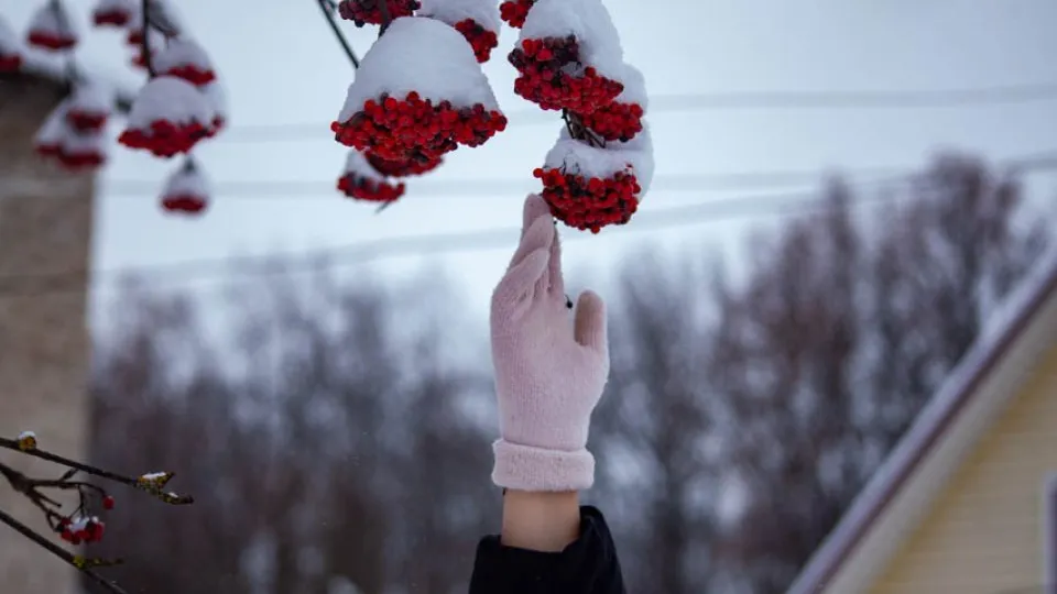 Фото: REGIONS/Дарина Левкина