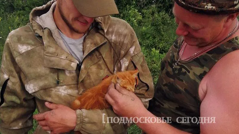 Кот Батон спасает души солдат на спецоперации