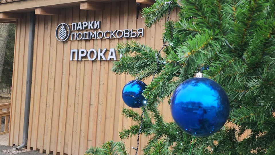 Фото: МедиаБанк Подмосковья/Екатерина Мелкозерова