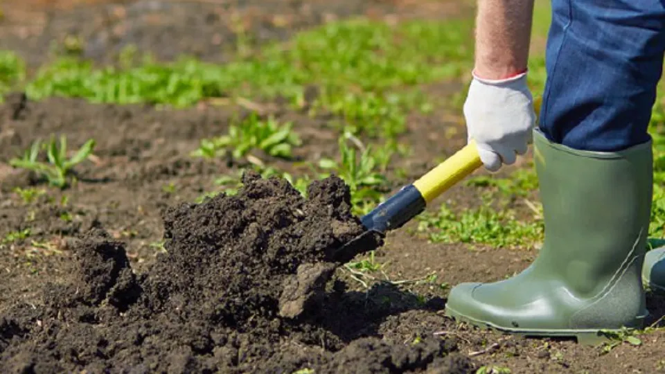 Фото: istockphoto.com/shironosov