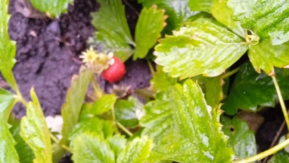 Фото: REGIONS/Ирина Горбачева