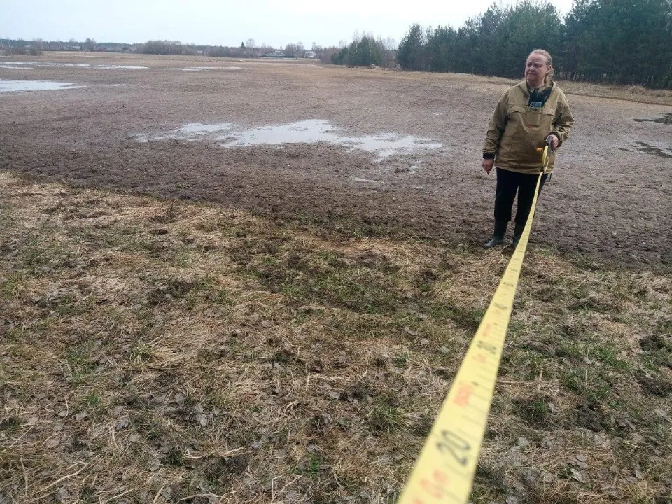 Фото: пресс-служба Комитета лесного хозяйства Московской области