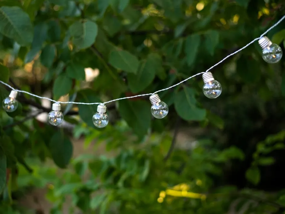 Фото: istockphoto.com