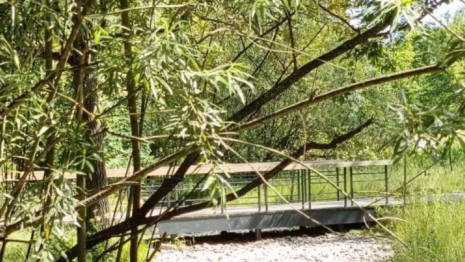 Фото: vk.com/Фрязинский Лесопарк