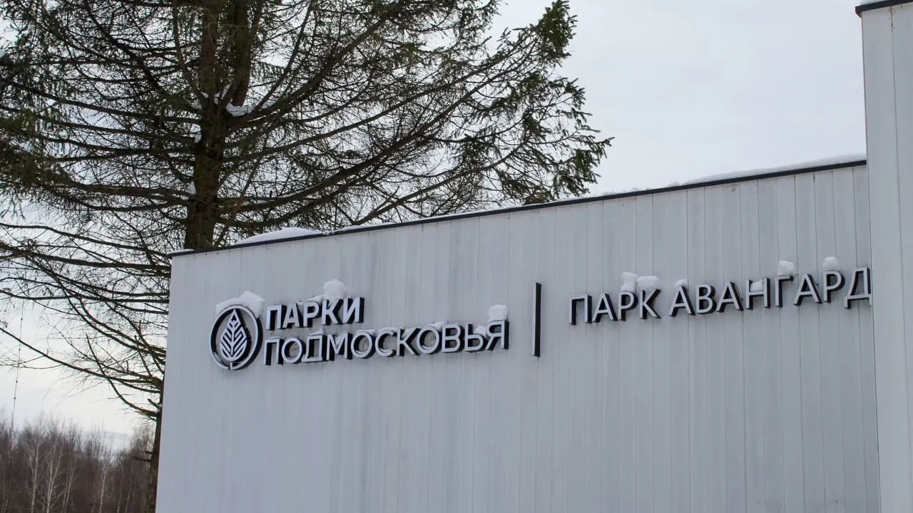 администрация г.о. Электросталь