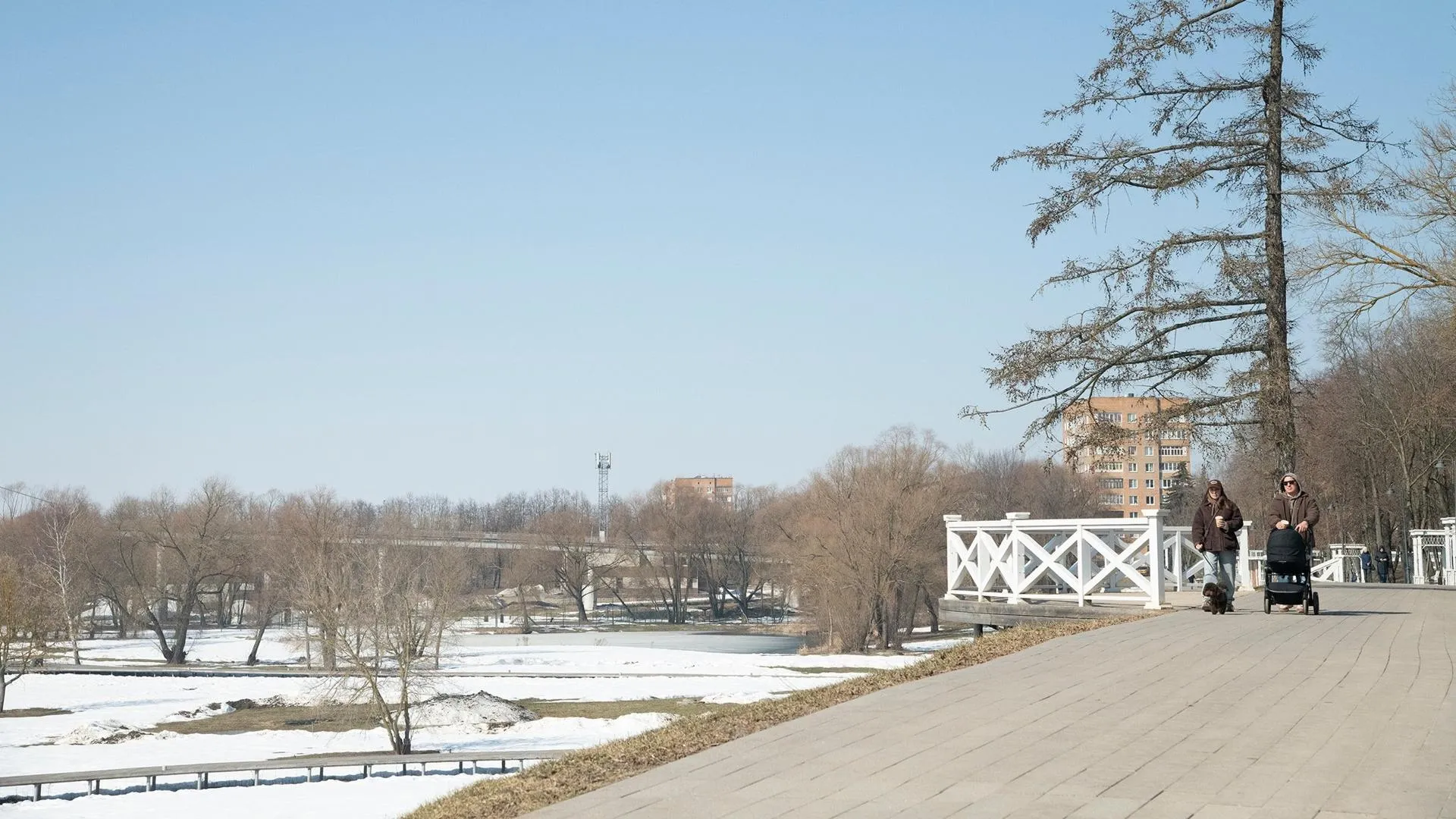 t.me/usadbakrivyakino