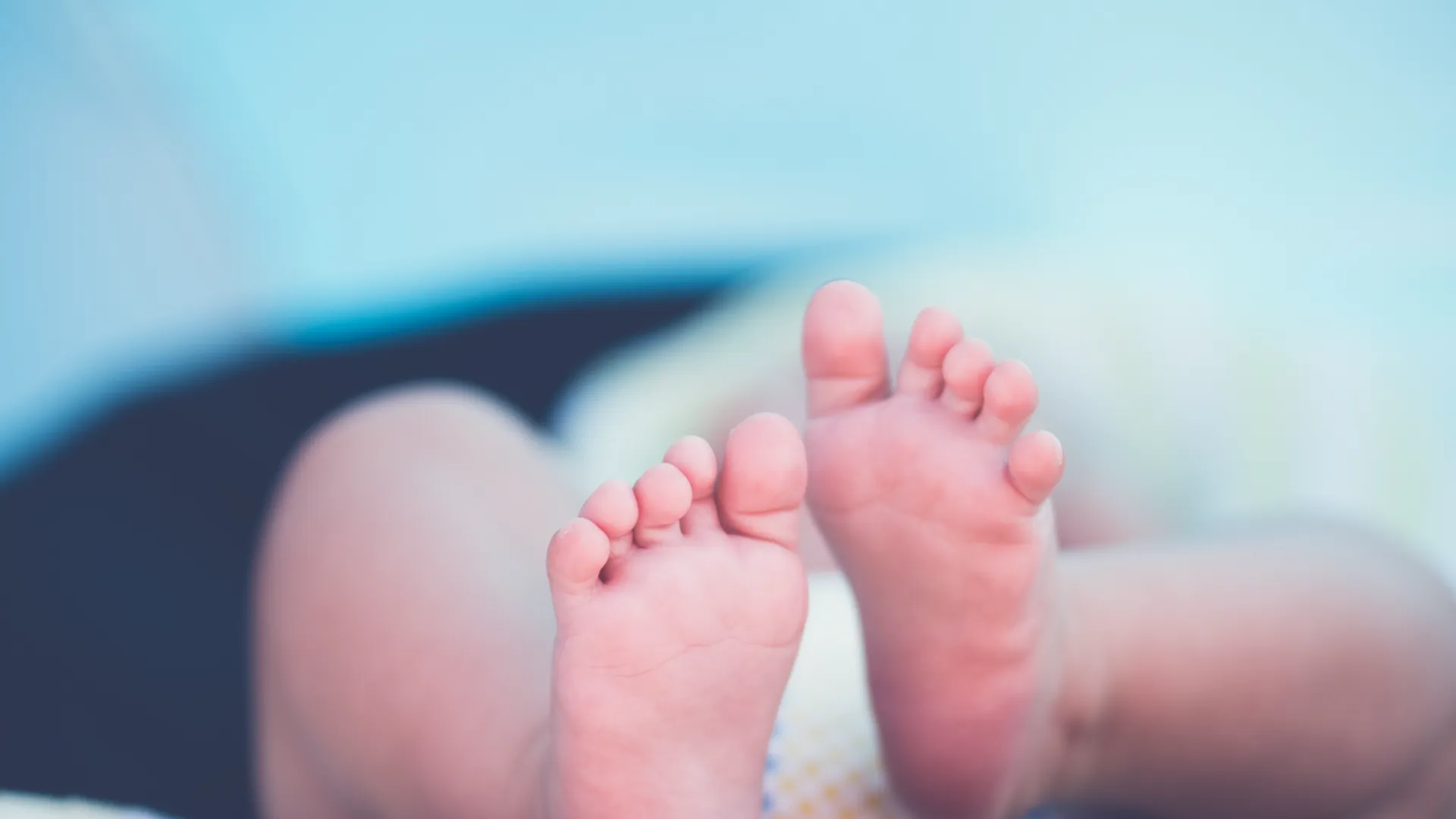 Фото: pxhere.com