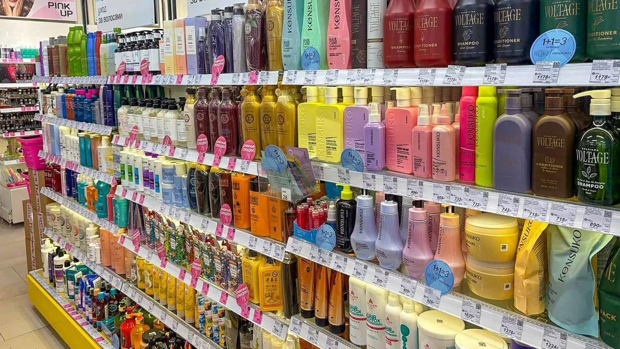 REGIONS/София Малышенко