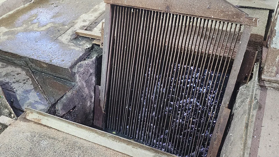 Фото: МедиаБанк Подмосковья/Станислав Орлов