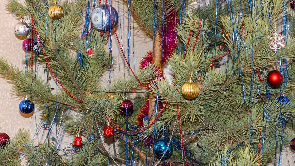 Фото: REGIONS/Эльвира Сафина