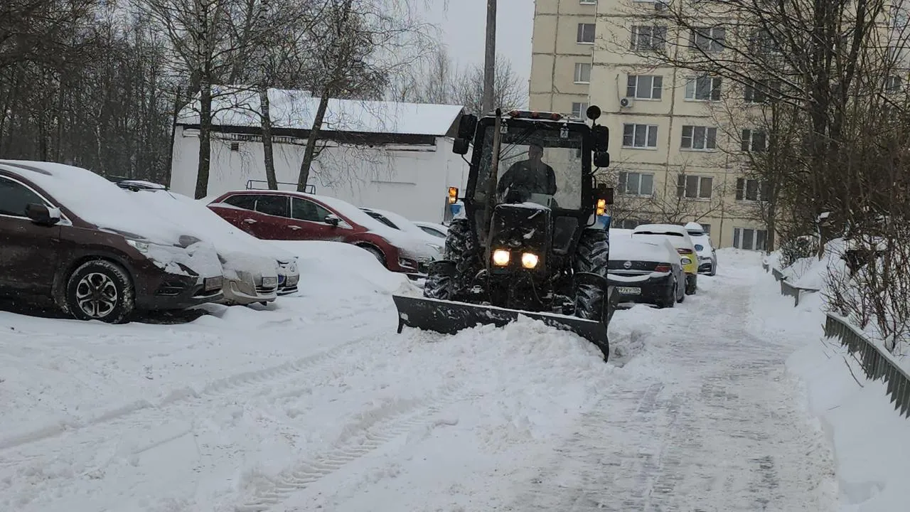 REGIONS/Кристина Ларина