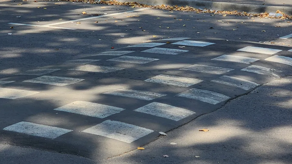 Фото: МедиаБанк Подмосковья/Роман Савельев