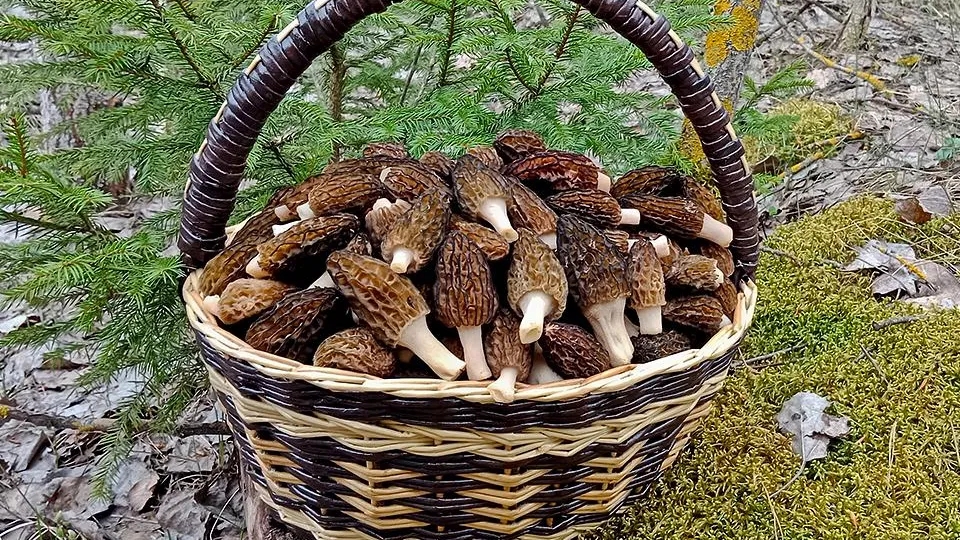 Фото: istockphoto.com