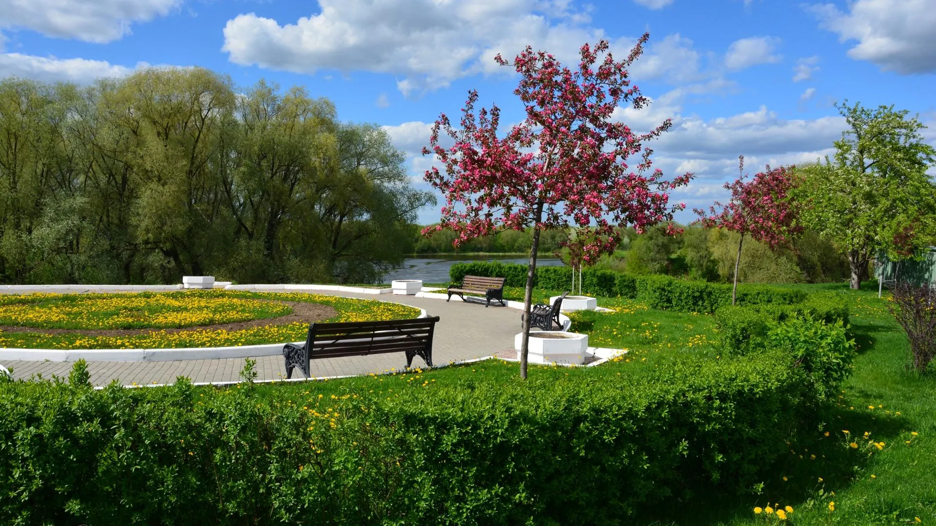 Фото: Алексей Воронин