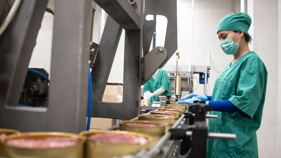 Фото: пресс-служба Администрации г.о. Химки