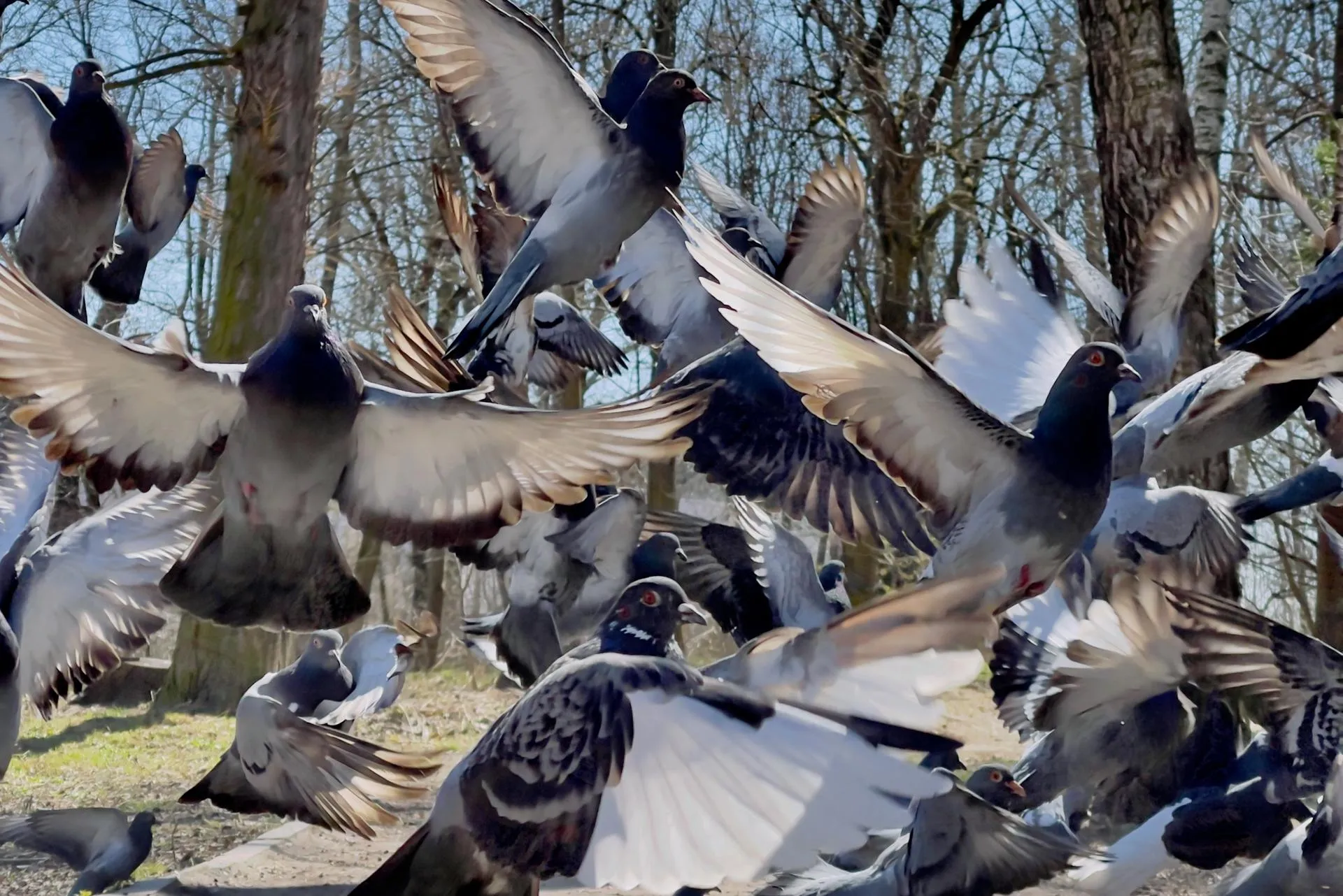 медиасток.рф