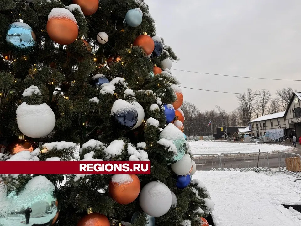 Фото: Мария Шматкова