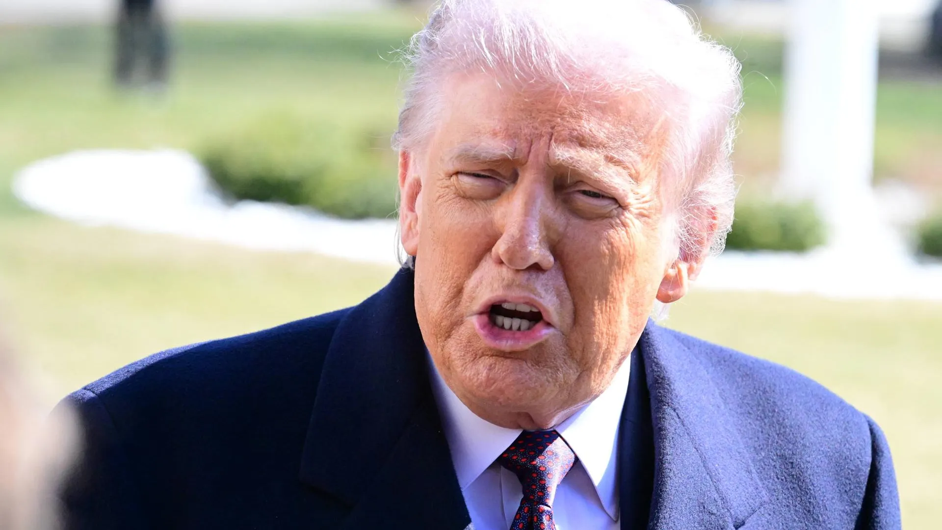 IMAGO/Kyle Mazza/Global Look Press