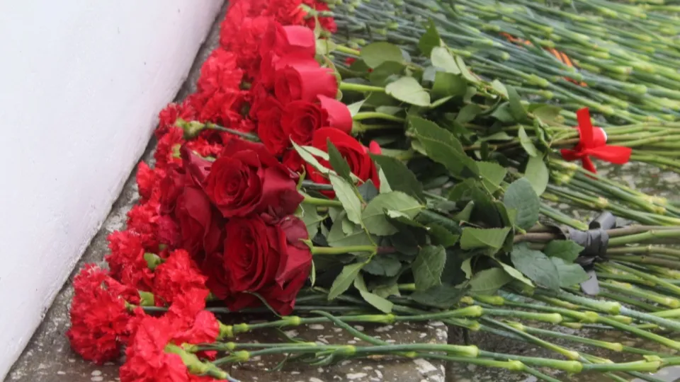 Фото: пресс-служба администрации м .о. Чехов