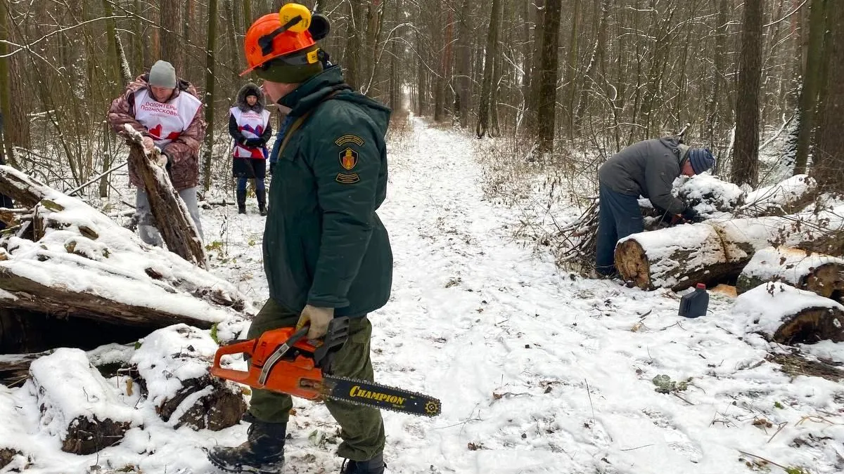 Комитет лесного хозяйства МО