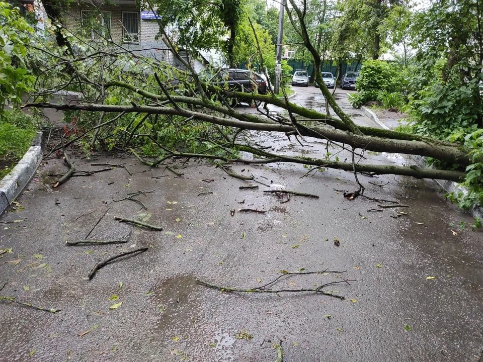 Фото: t.me/podolsk24life