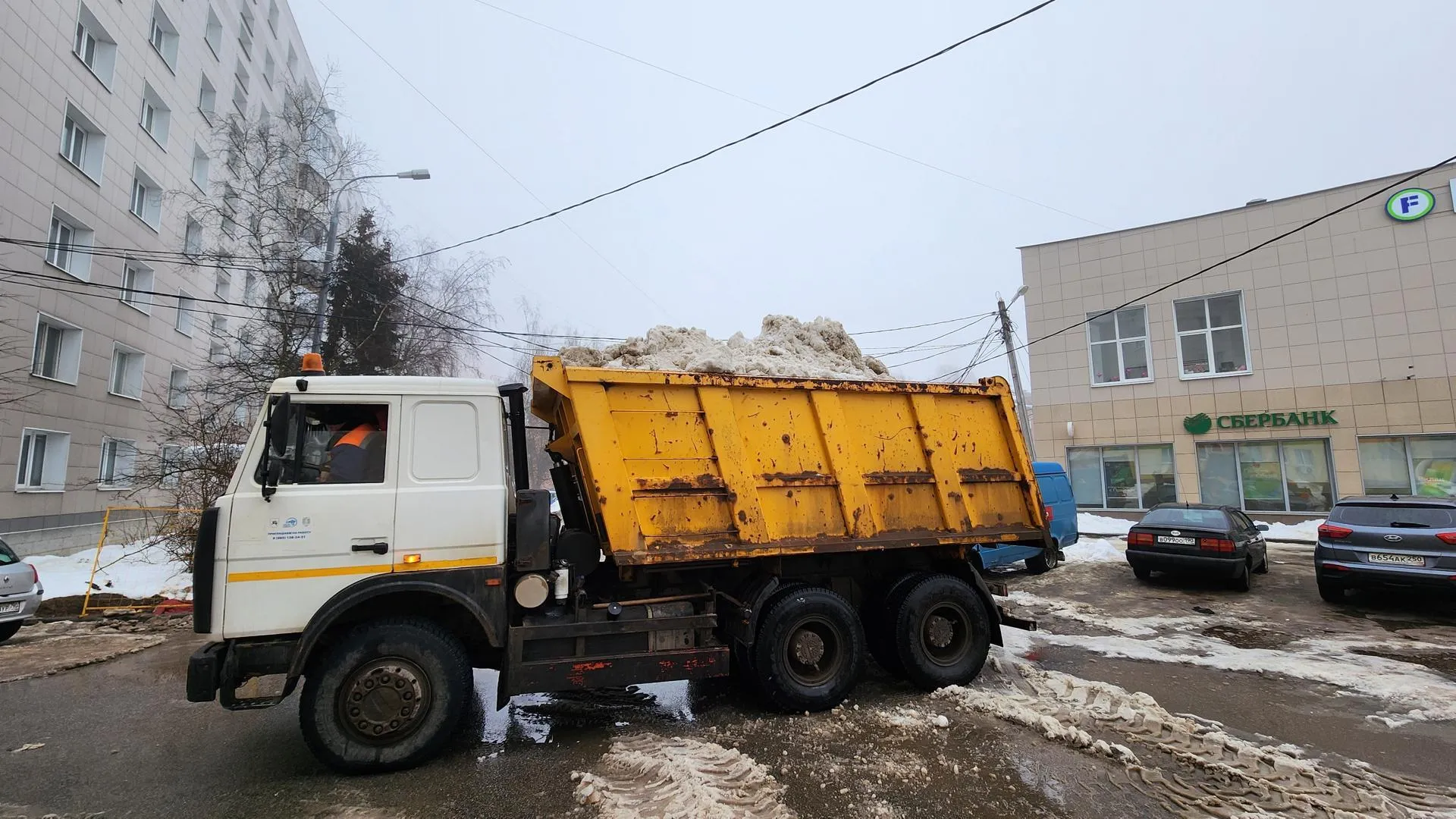 МедиаБанк Подмосковья/Валентина Максимова
