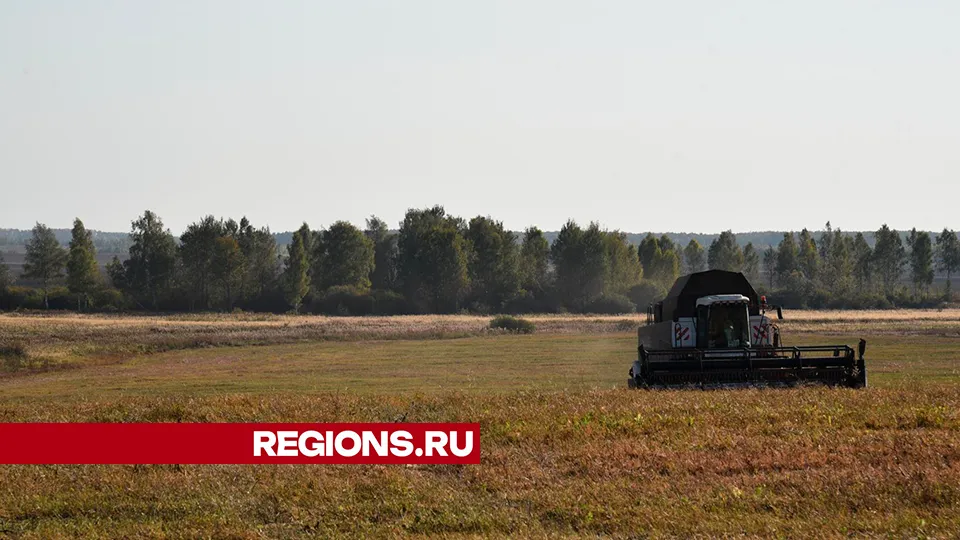 Фото: Владимир Останин