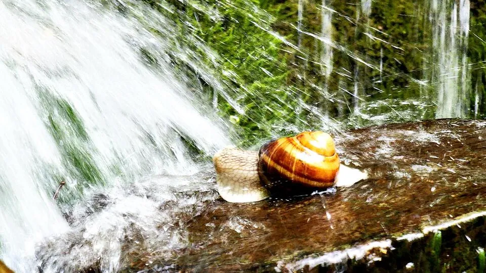 Фото: Мария Панина