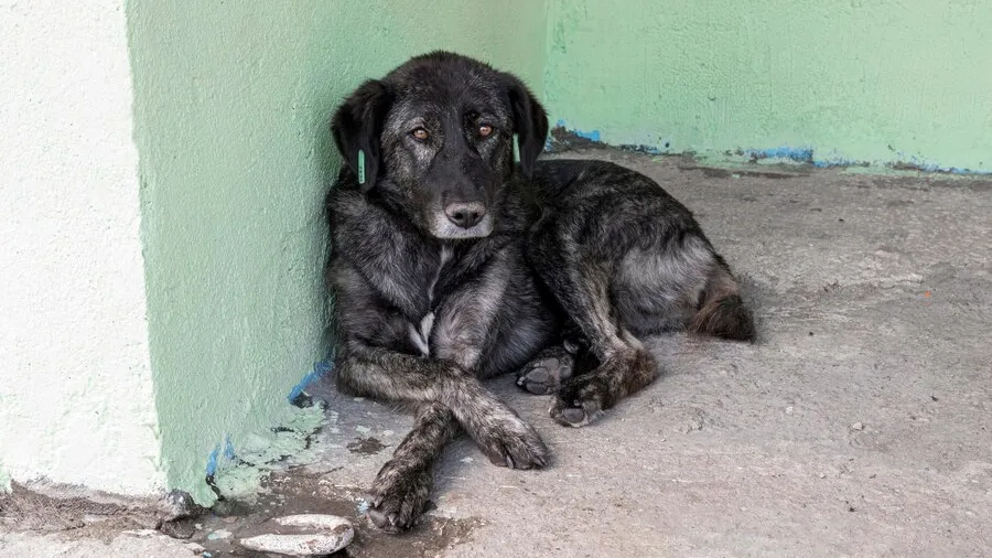 Фото: freepik.com