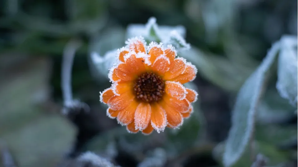 Фото: unsplash.com