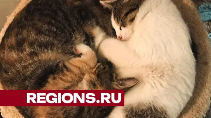 Фото: Татьяна Краснова