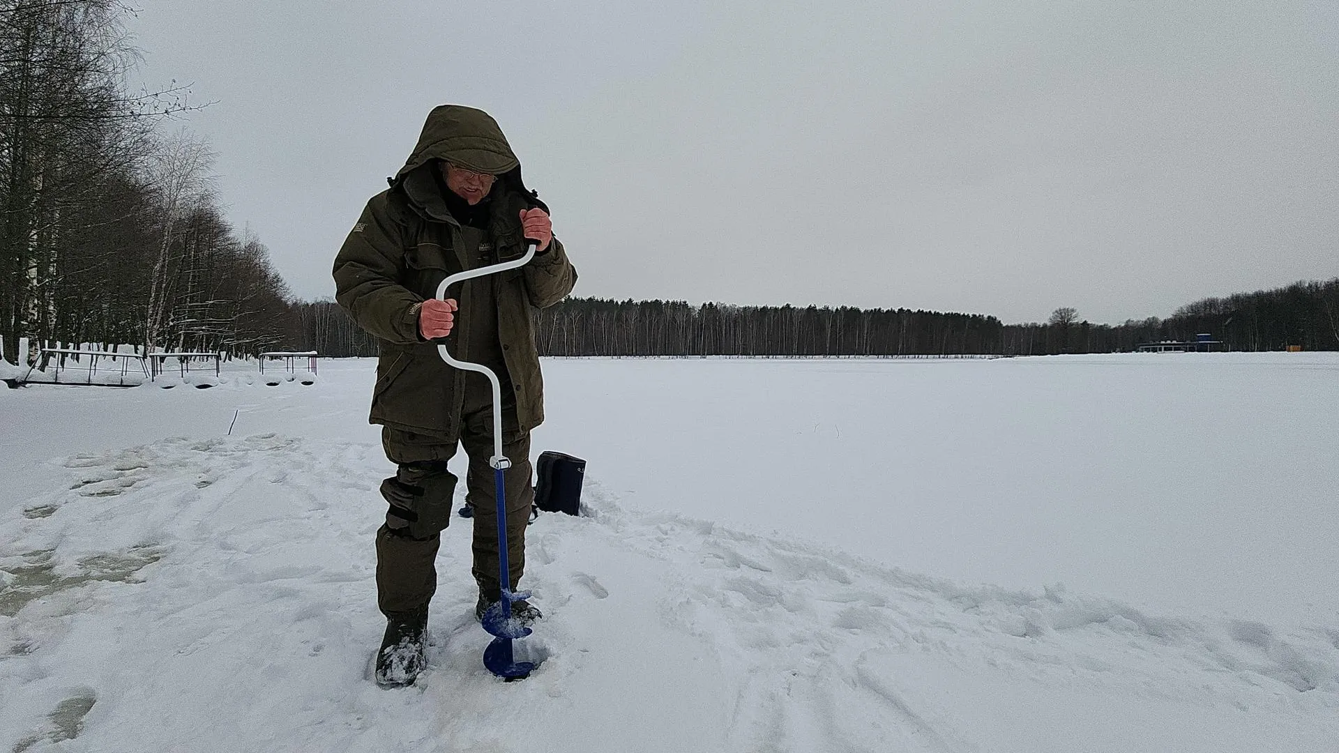 Нина Павловна Басистая