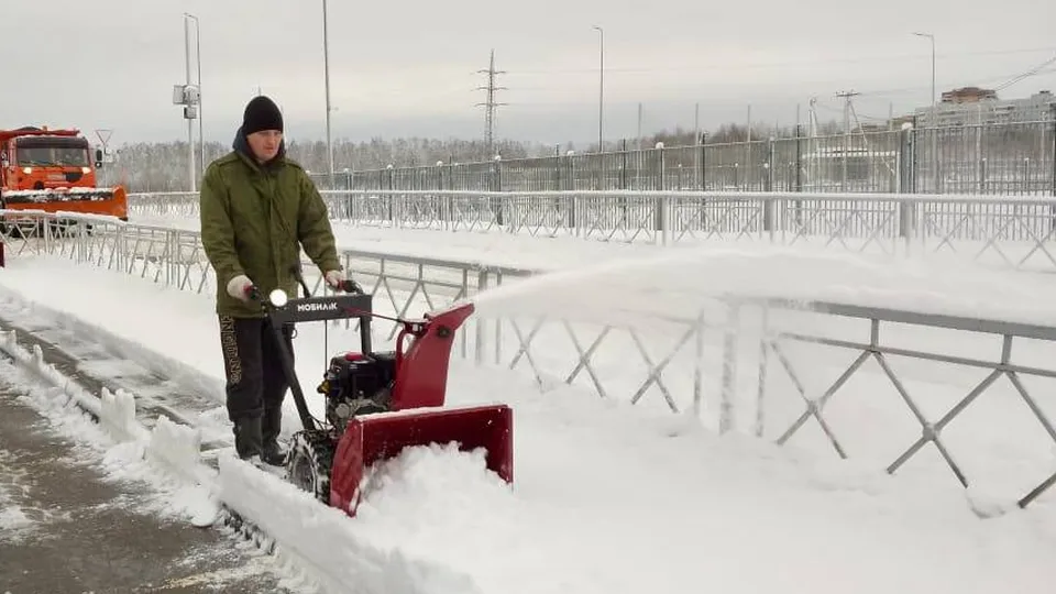 Фото: администрация г.о. Красногорск