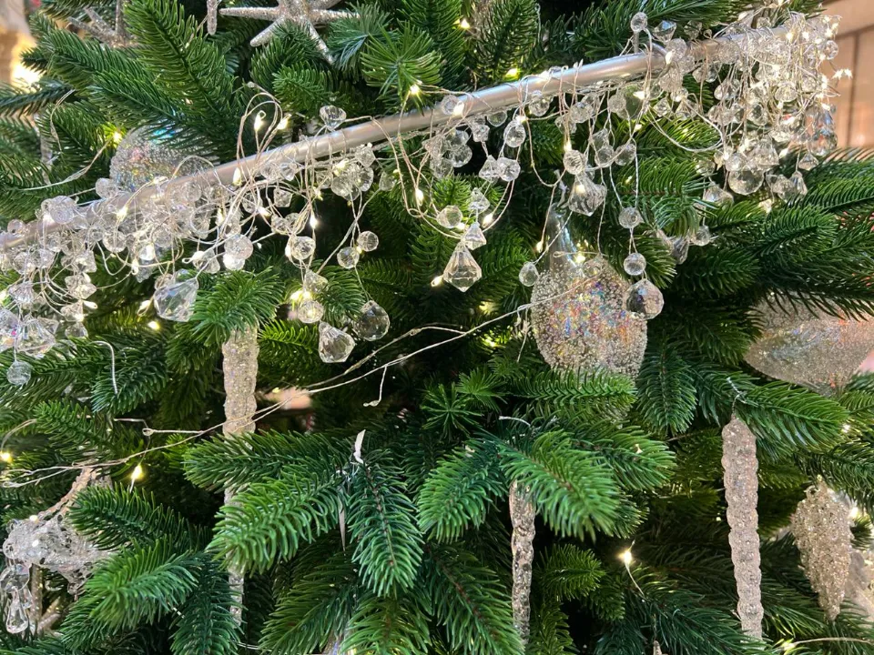 Фото: REGIONS/Елена Фурман