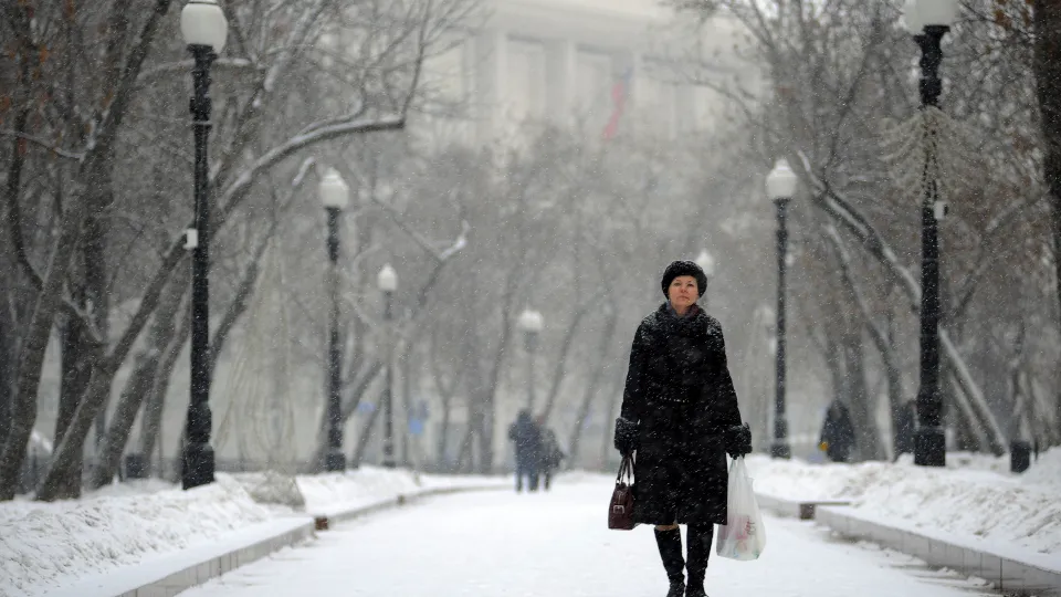 Фото: медиасток.рф