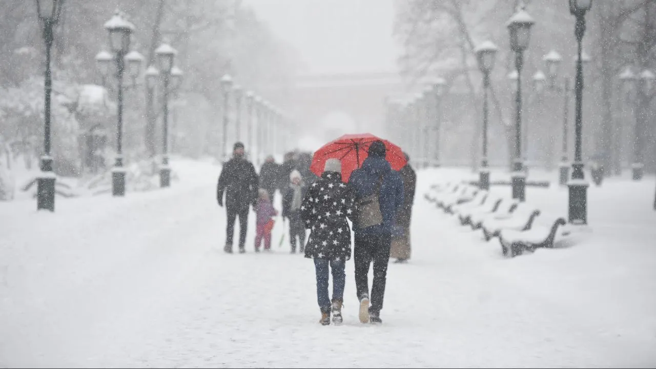 медиасток.рф