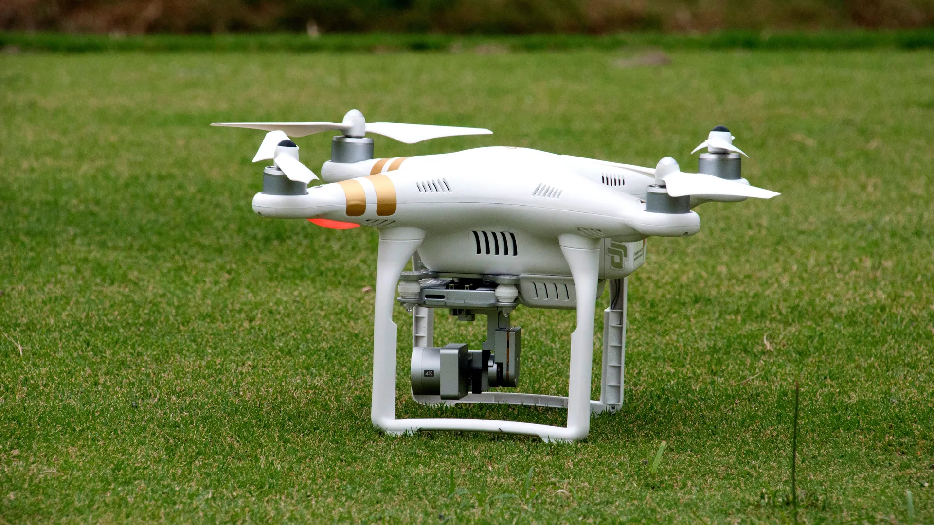 Фото: pxhere.com