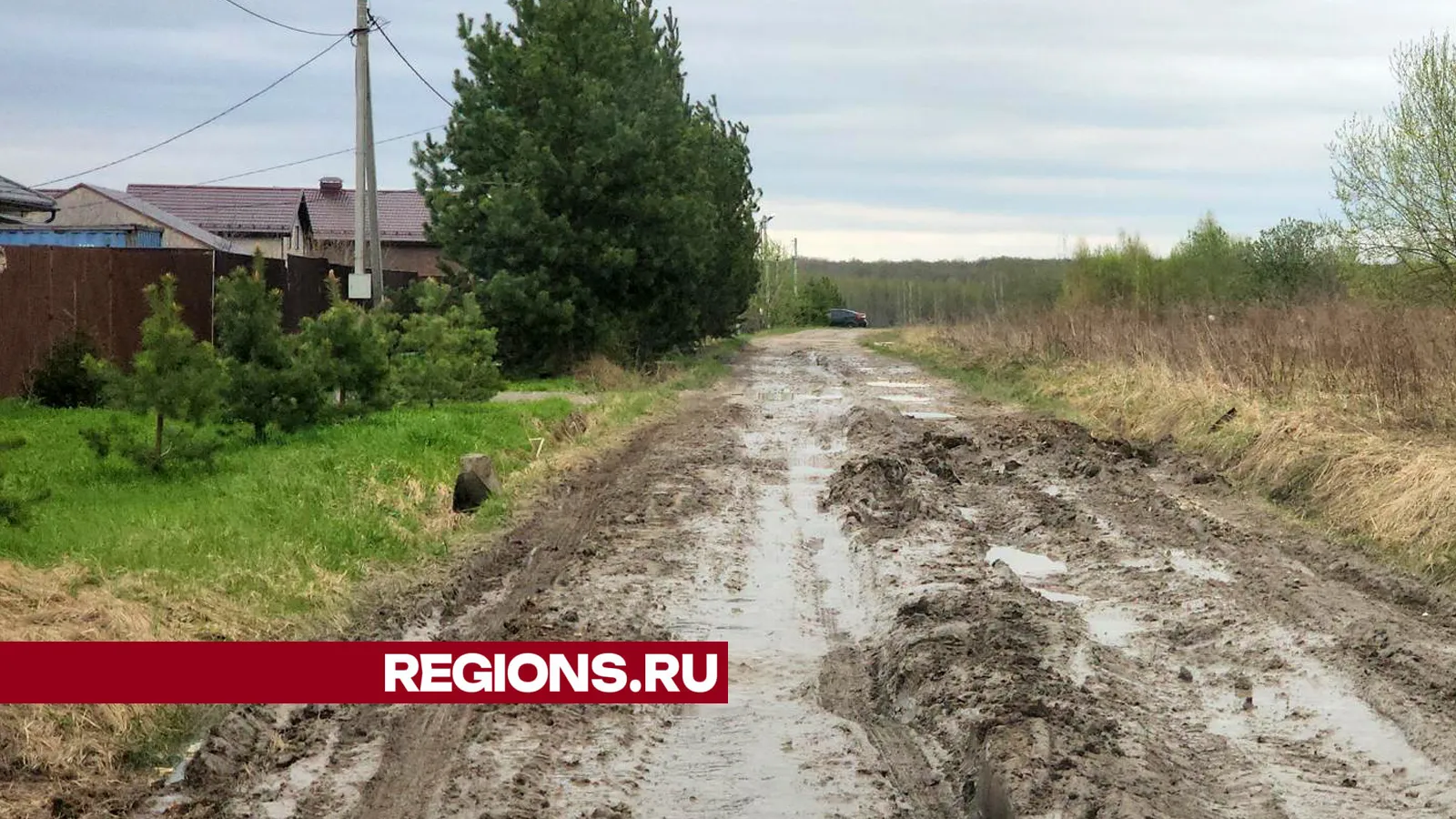 Фото: Андрей Семибратов