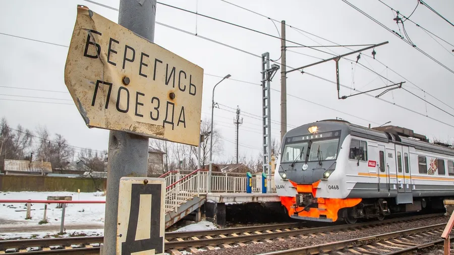 Источник: пресс-служба администрации Одинцовского округа