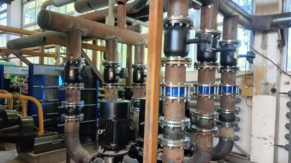 Фото: Администрация г.о. Чехов