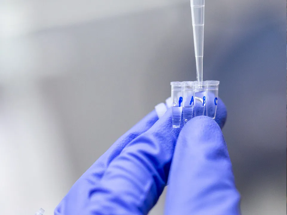 Фото: istockphoto.com/Sinhyu&nbsp;