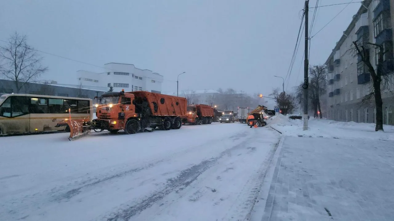 МедиаБанк Подмосковья/Валерия Исаева