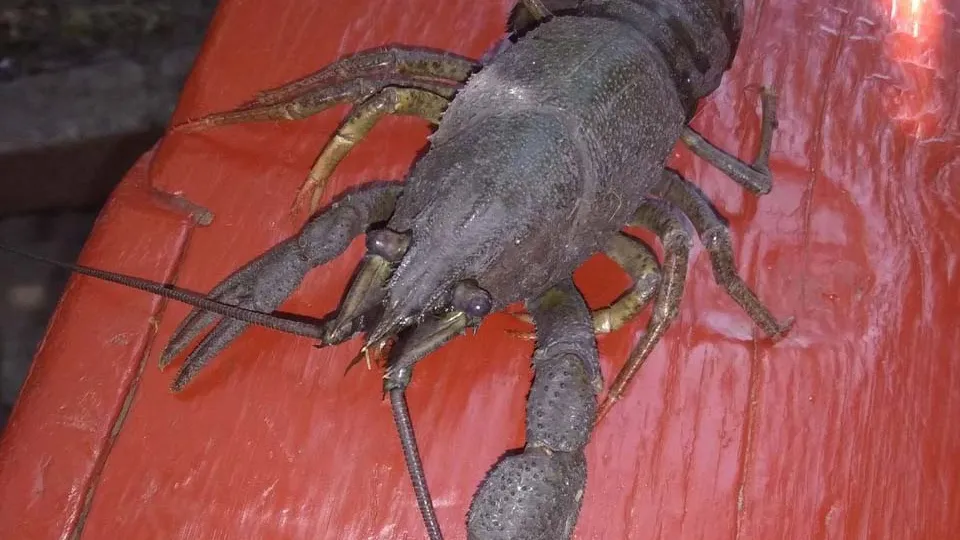 Фото: Константин Михальков