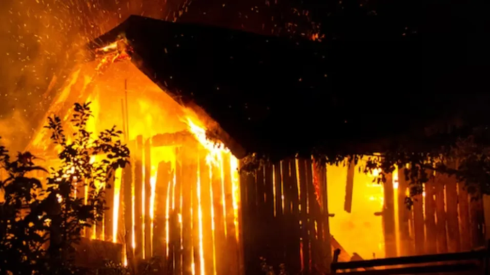 Фото: freepik.com